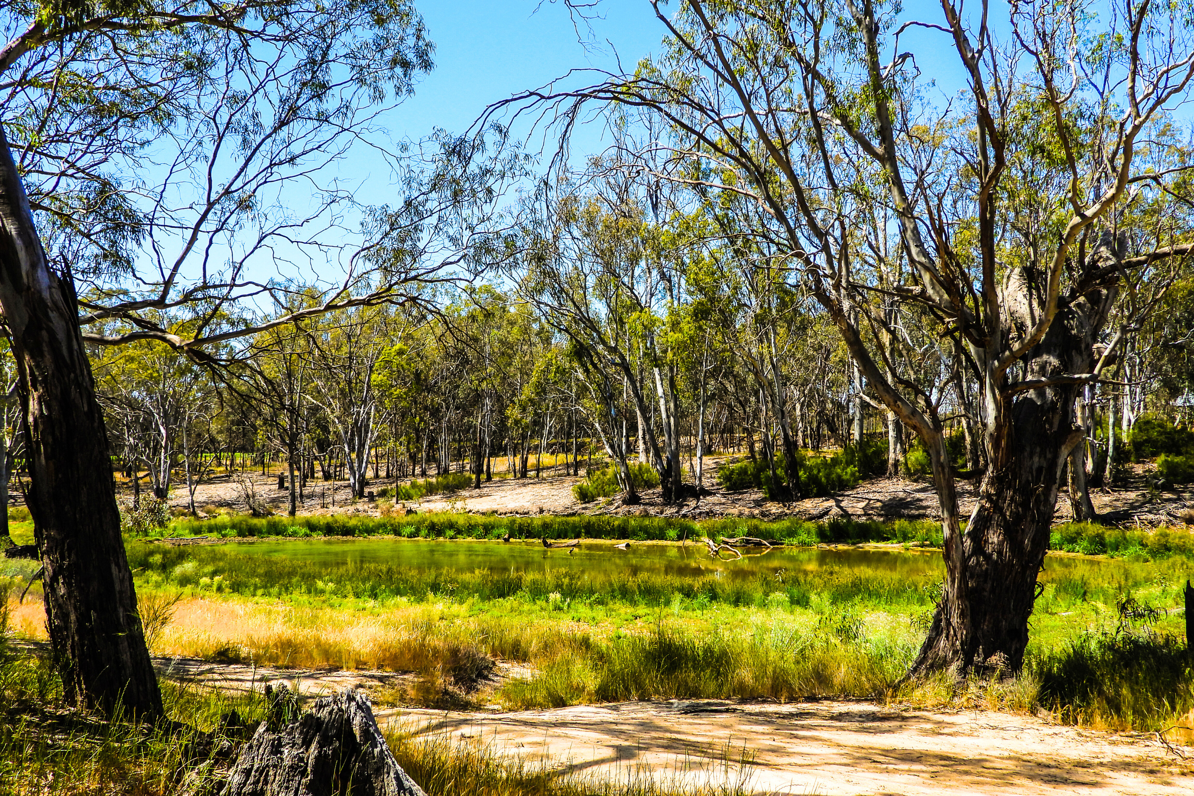 28_Echuca,_Victoria[1].webp